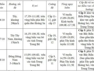 Bão số 6 TRAMI gây sóng biển cao 9 mét, nước dâng trên đất liền