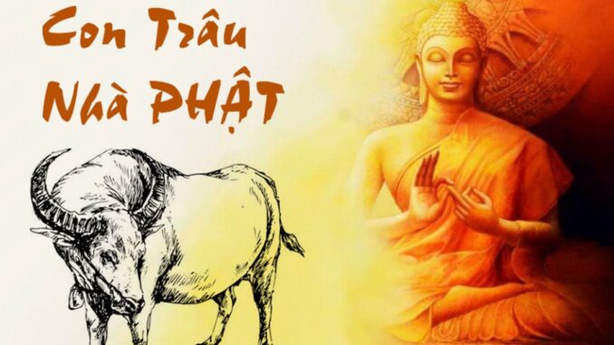 Có đức mặc sức hưởng: 3 tuổi sinh ra được Phật Bà Quan Âm che chở, chẳng bon chen lộc tự về tay Có đức mặc sức hưởng: 3 tuổi sinh ra được Phật Bà Quan Âm che chở, chẳng bon chen lộc tự về tay