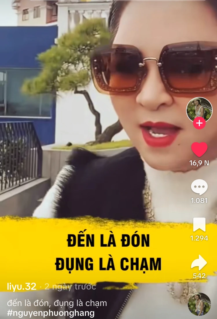 Bà Nguyễn Phương Hằng mắng 1 hoa hậu tan nát, đòi tước vương miện - Hình 2