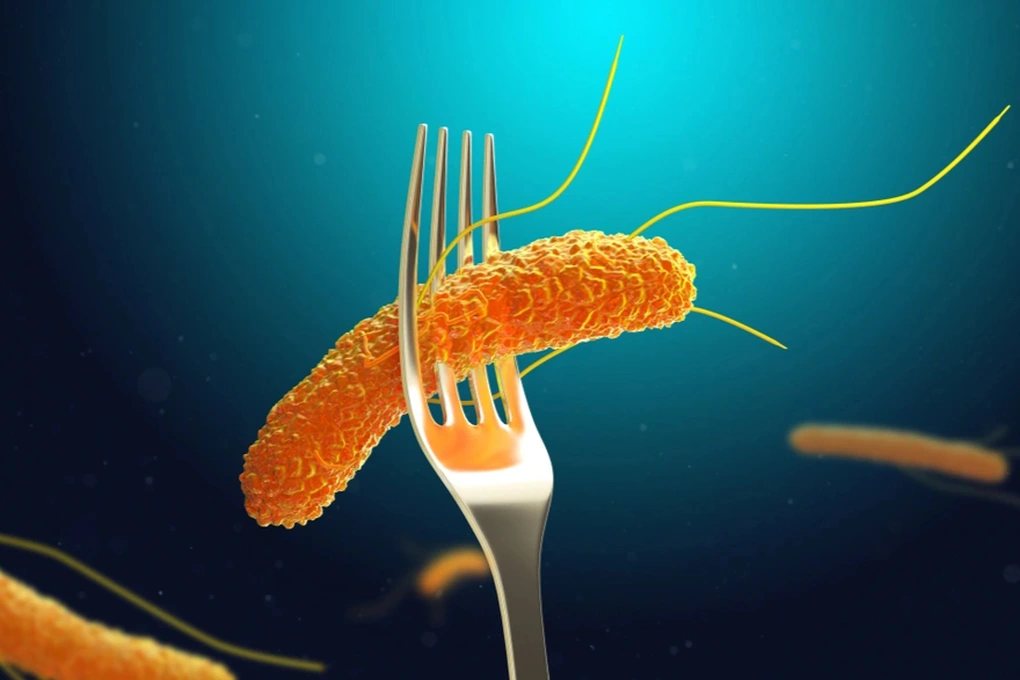 salmonella-3-edited-1744674475550