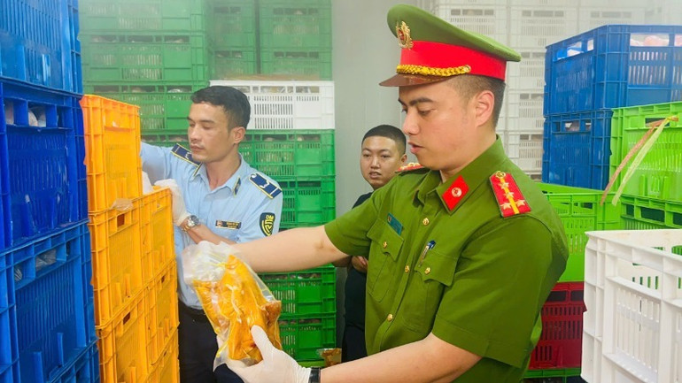 Thu giữ gần 20 tấn thịt gà đông lạnh, thịt gà ủ muối.
