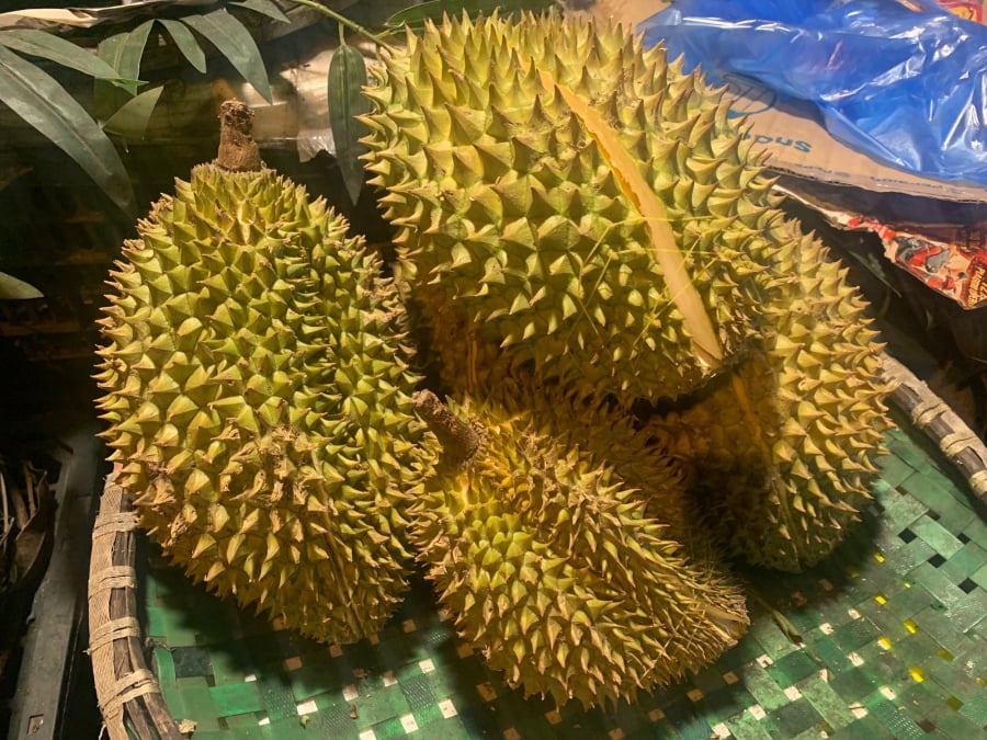 chon-sau-ngon-1715 Mua sầu riêng cứ thấy quả này đừng tiếc tiền mua: Hạt nhiều, chín cây không lo tẩm thuốc