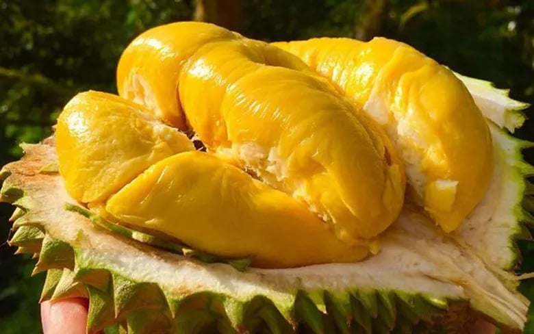 chon-sau-rieng-1714 chon-sau-rieng