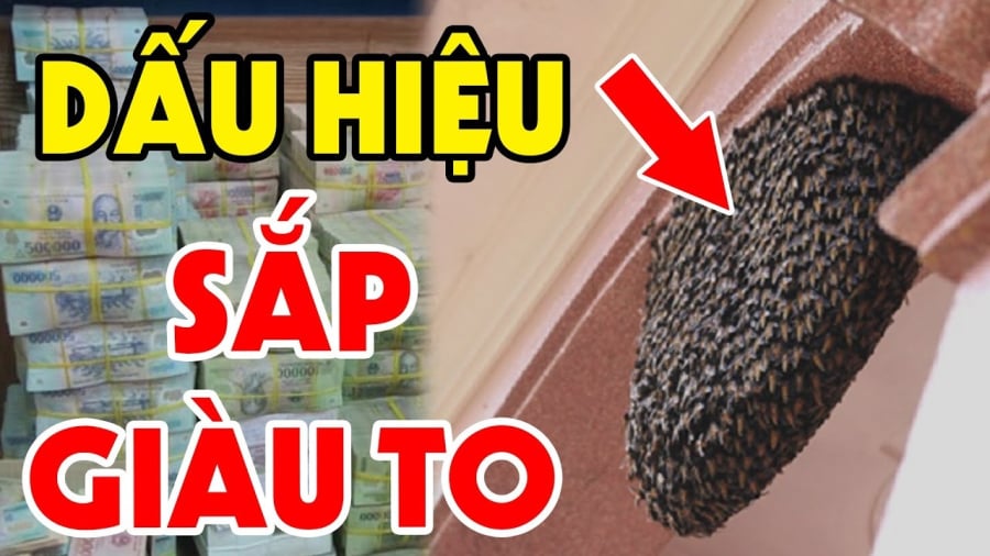ong-lam-to-1507 4 con vật Đệ Tử Thần Tài, vào nhà mang theo Tiền của, chớ dại mà xua đuổi