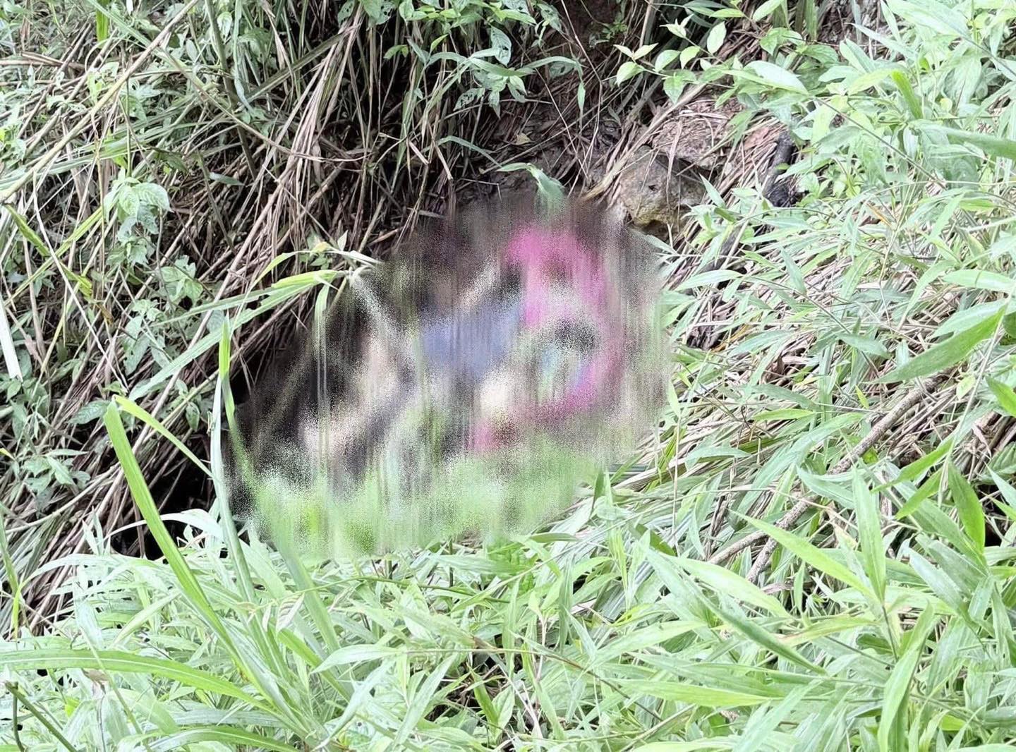 Không có mô tả ảnh.
