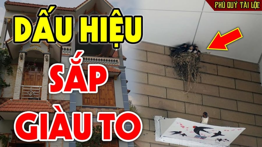 con-vat-1021 Dấu hiệu may mắn