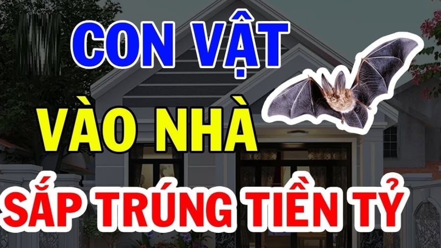 con-vat-de-tu-than-tai-1201-0843-1020 4 con vật vào nhà mang theo may mắn