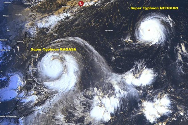 sieu-bao-kep Thêm siêu bão Neoguri khuấy đảo cùng siêu bão Ragasa gần Biển Đông