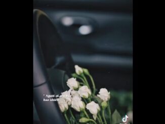 Phương Oanh lên tiếng- Ảnh 1.