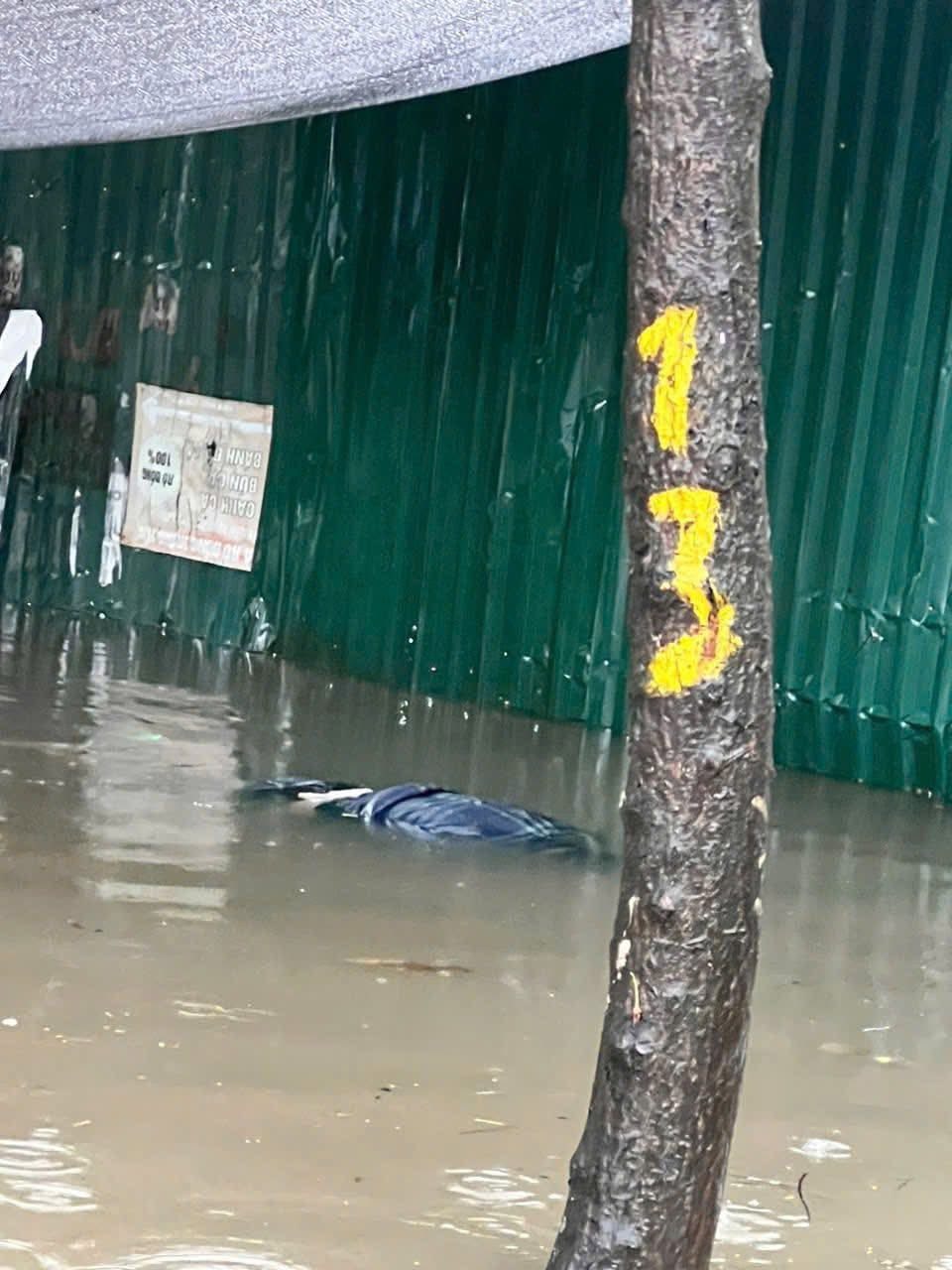 Có thể là hình ảnh về cá sấu