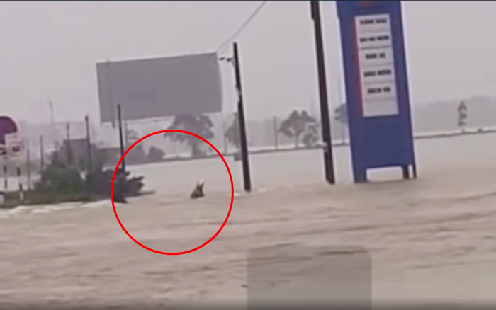 568243555_731342106006554_3557652071770052125_n-1