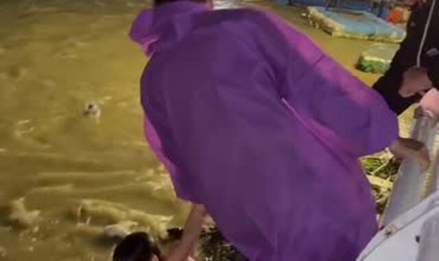 be-trai-troi-dat-song-han-2 be-trai-troi-dat-song-han-2