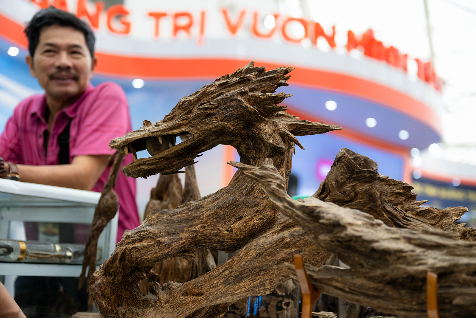 700 triệu đồng cho một "khối gỗ" hình rồng ở Hà Nội: Vì sao chủ nhân không bán?- Ảnh 2. 700 triệu đồng cho một "khối gỗ" hình rồng ở Hà Nội: Vì sao chủ nhân không bán?- Ảnh 2.