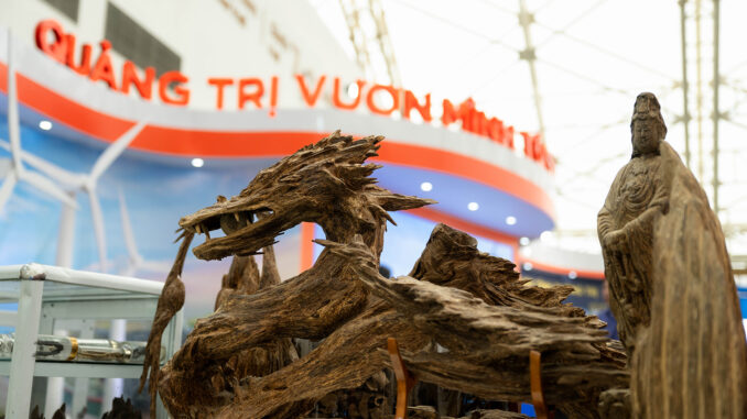 700 triệu đồng cho một "khối gỗ" hình rồng ở Hà Nội: Vì sao chủ nhân không bán?- Ảnh 1. 700 triệu đồng cho một "khối gỗ" hình rồng ở Hà Nội: Vì sao chủ nhân không bán?- Ảnh 1.