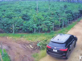 Hình ảnh truy vết từ camera ghi lại cảnh tài xế lái ô tô tăng tốc, bỏ trốn khỏi hiện trường tai nạn. (Ảnh cắt từ clip)