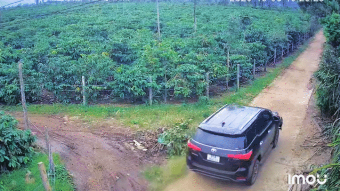 tong-chet-nguoi-10221219 Hình ảnh truy vết từ camera ghi lại cảnh tài xế lái ô tô tăng tốc, bỏ trốn khỏi hiện trường tai nạn. (Ảnh cắt từ clip)