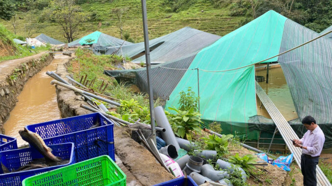Sạt lở núi làm chết gần 70 tấn cá tầm, thiệt hại hơn 8 tỉ đồng- Ảnh 1. Sạt lở núi làm chết gần 70 tấn cá tầm, thiệt hại hơn 8 tỉ đồng- Ảnh 1.